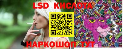 дмт Славгород