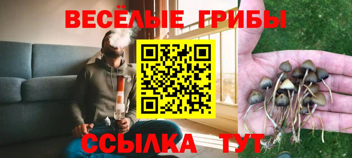 Псилоцибиновые грибы MAGIC MUSHROOMS Саратов